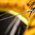 Кайт Slingshot Code NXT V1 2025 ALUULA