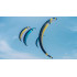 Парафойл Flysurfer SONIC 5